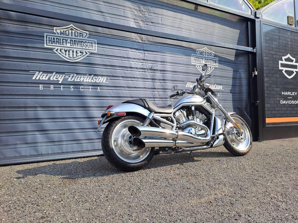 Harley-Davidson 1130 V-Rod (2002 - 05) - VRSCA (3)