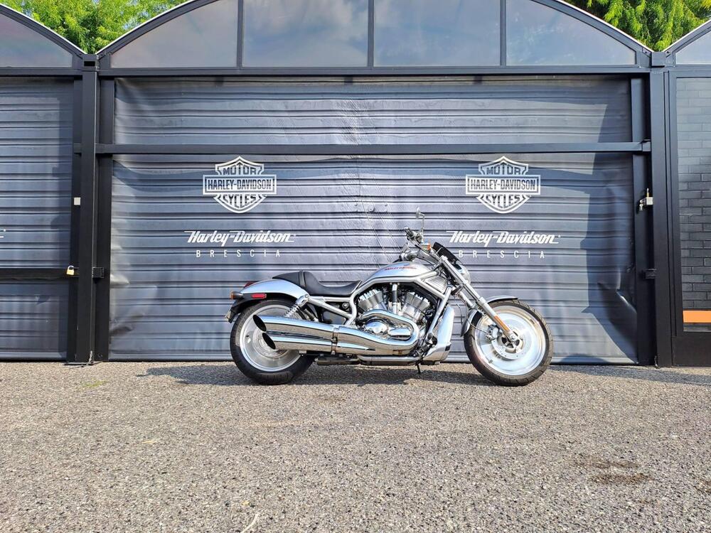 Harley-Davidson 1130 V-Rod (2002 - 05) - VRSCA