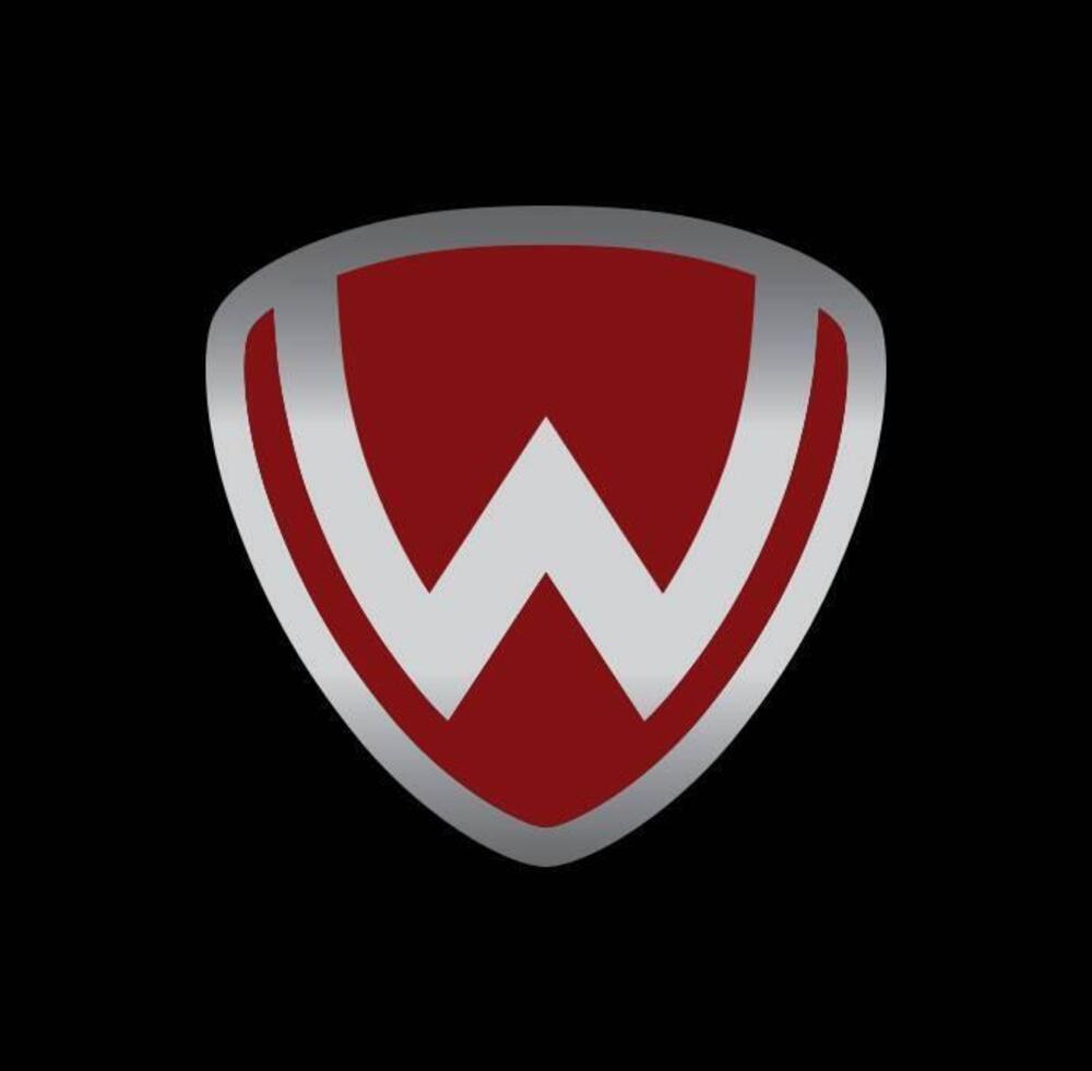 Wottan Motor Storm-R 300 (2023 - 25) (15)