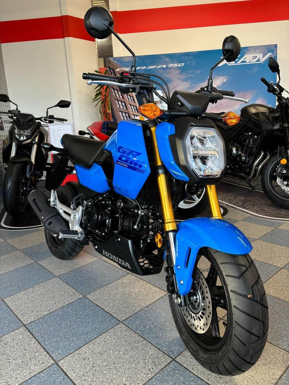 Honda MSX 125 Grom (2021 - 25)