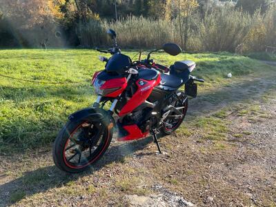 Suzuki GSX-S125 (2017 - 20) usata