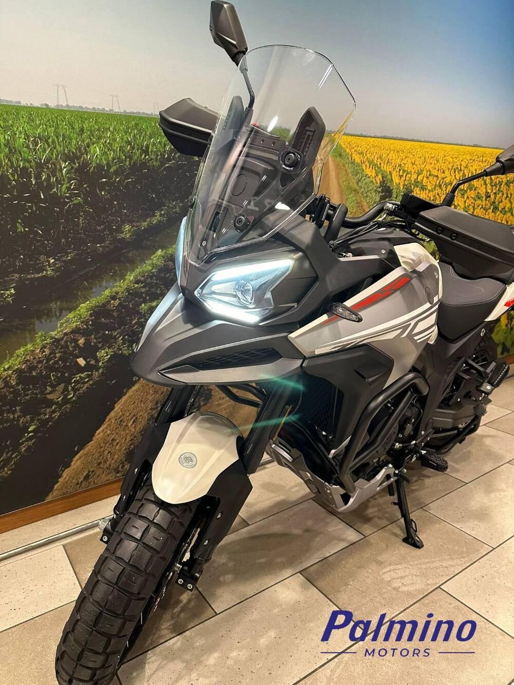 Morbidelli T1002VX (2024 - 25) (8)