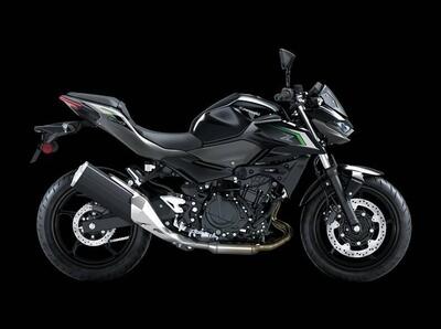 Kawasaki Z 500 (2024 - 26) nuova