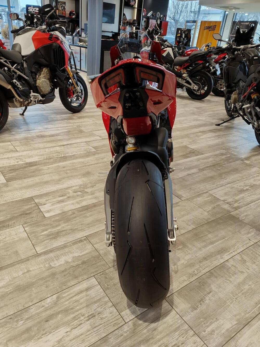 Ducati Panigale V4 (2025) (6)