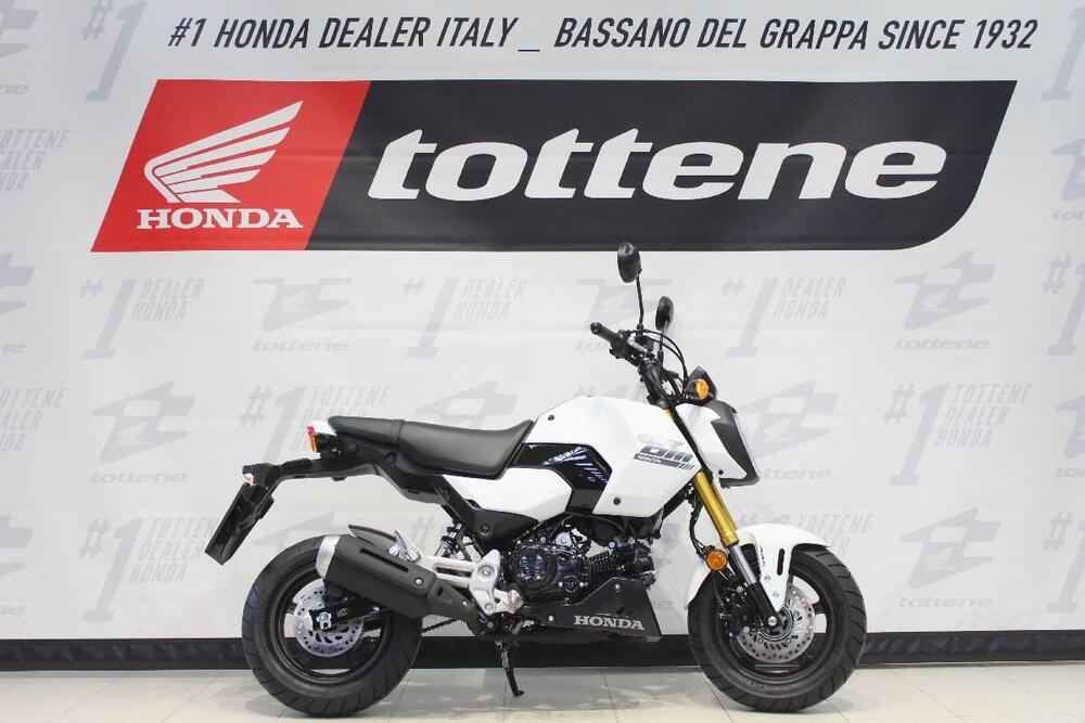 Honda MSX 125 Grom (2021 - 25)