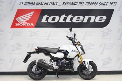 Honda MSX 125 Grom (2021 - 25) nuova