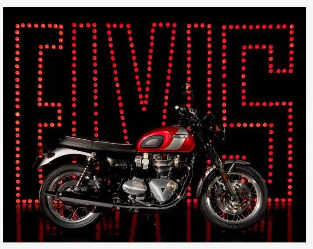 Triumph Bonneville T120 Elvis (2024 - 25) (13)