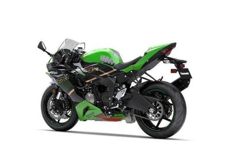 Kawasaki Ninja 636 ZX-6R Ninja 636 ZX-6R KRT Performance (2019 - 20) (2)