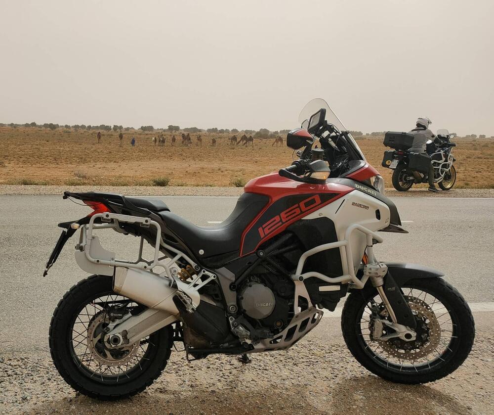 Ducati Multistrada 1260 Enduro (2019 - 21) (2)