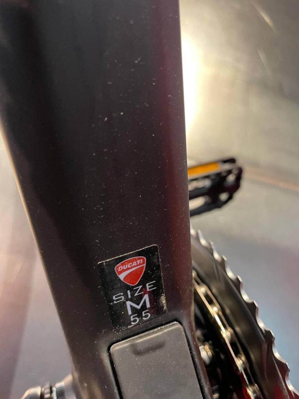 Ducati Futa (2022 - 25) (10)