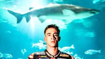 MotoGP 2024. Il manager di Pedro Acosta contro KTM: "Ci hanno detto che erano un colosso, non &egrave; cos&igrave;"