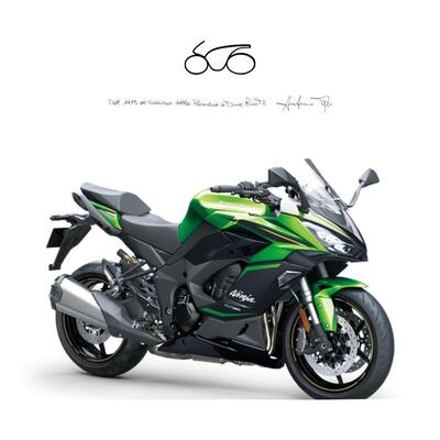 Kawasaki Ninja 1100 SX SE (2025 - 26) nuova