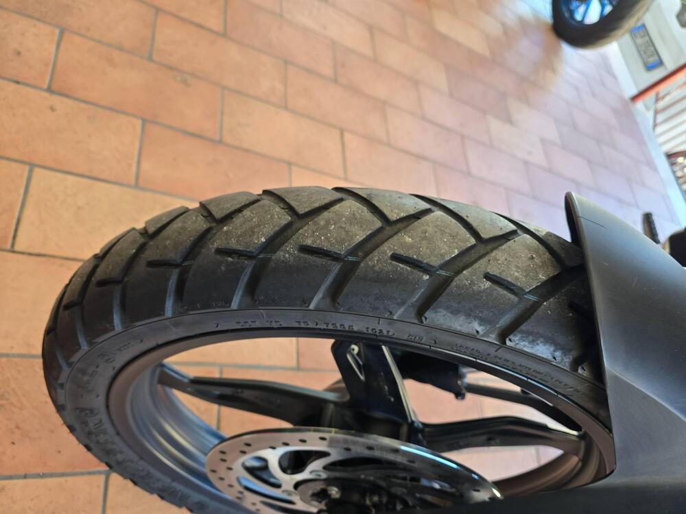 Bmw G 310 GS (2021 - 25) (7)