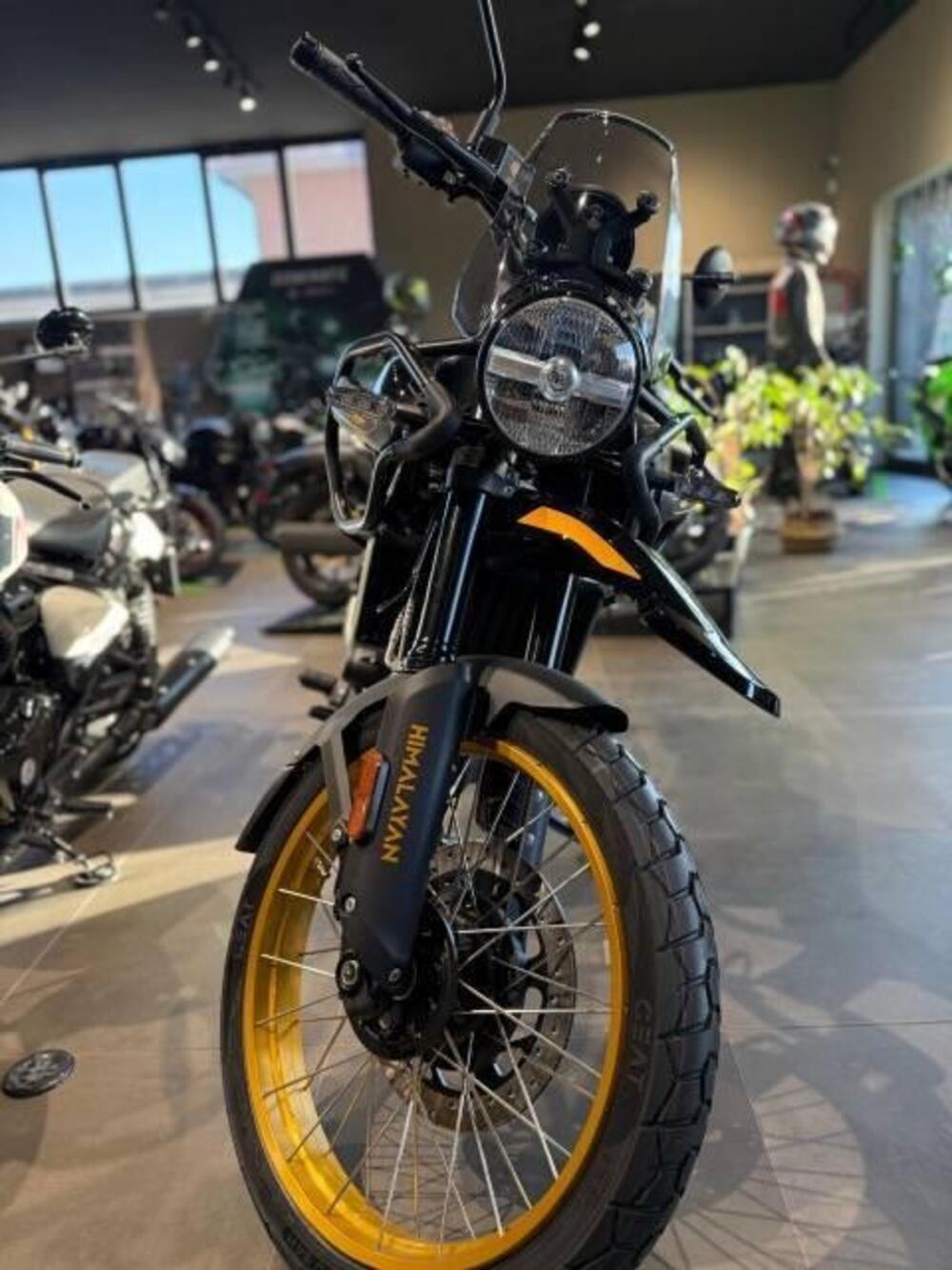 Royal Enfield Himalayan 450 (2024 - 25) (2)