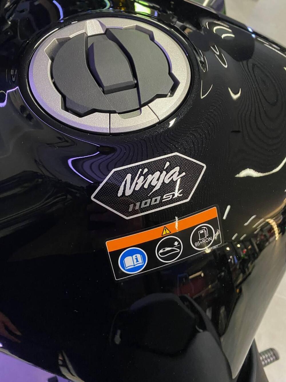 Kawasaki Ninja 1100 SX (2025 - 26) (3)