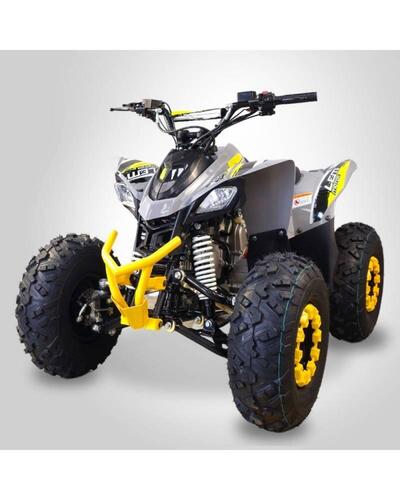 Lem Motor V11 (2024 - 25) nuova