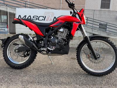 Betamotor Alp 4.0 (2024 - 25) nuova