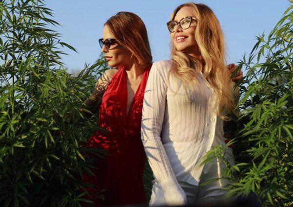 Nuovo Codice della strada e cannabis terapeutica, migliaia di pazienti in cura contro il governo per il rischio sanzioni: Naike Rivelli e Ornella Muti (col sostegno di Vasco Rossi) spiegano perch&eacute; sono pronti a una class action. E Salvini che fa?