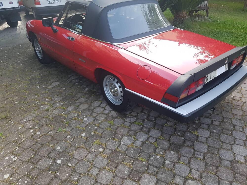 Alfa Romeo Spider 1600  d'epoca a Roma (6)