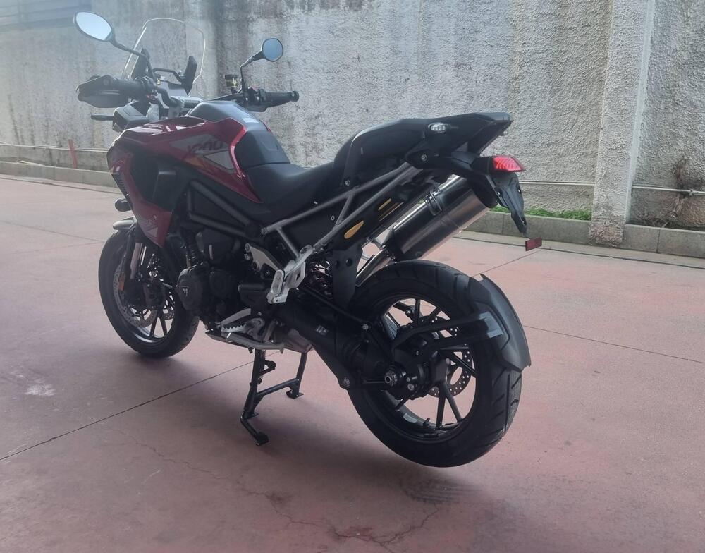 Triumph Tiger 1200 GT Pro (2024 - 25) (6)