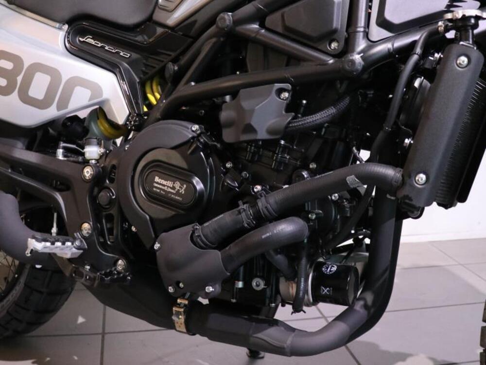 Benelli Leoncino 800 (2022 - 26) (3)