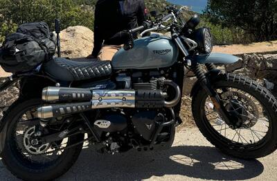 Triumph Street Scrambler 900 (2021 - 22) usata