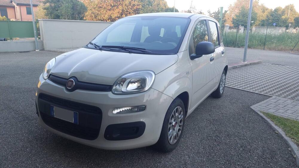 Fiat Panda usata a Modena