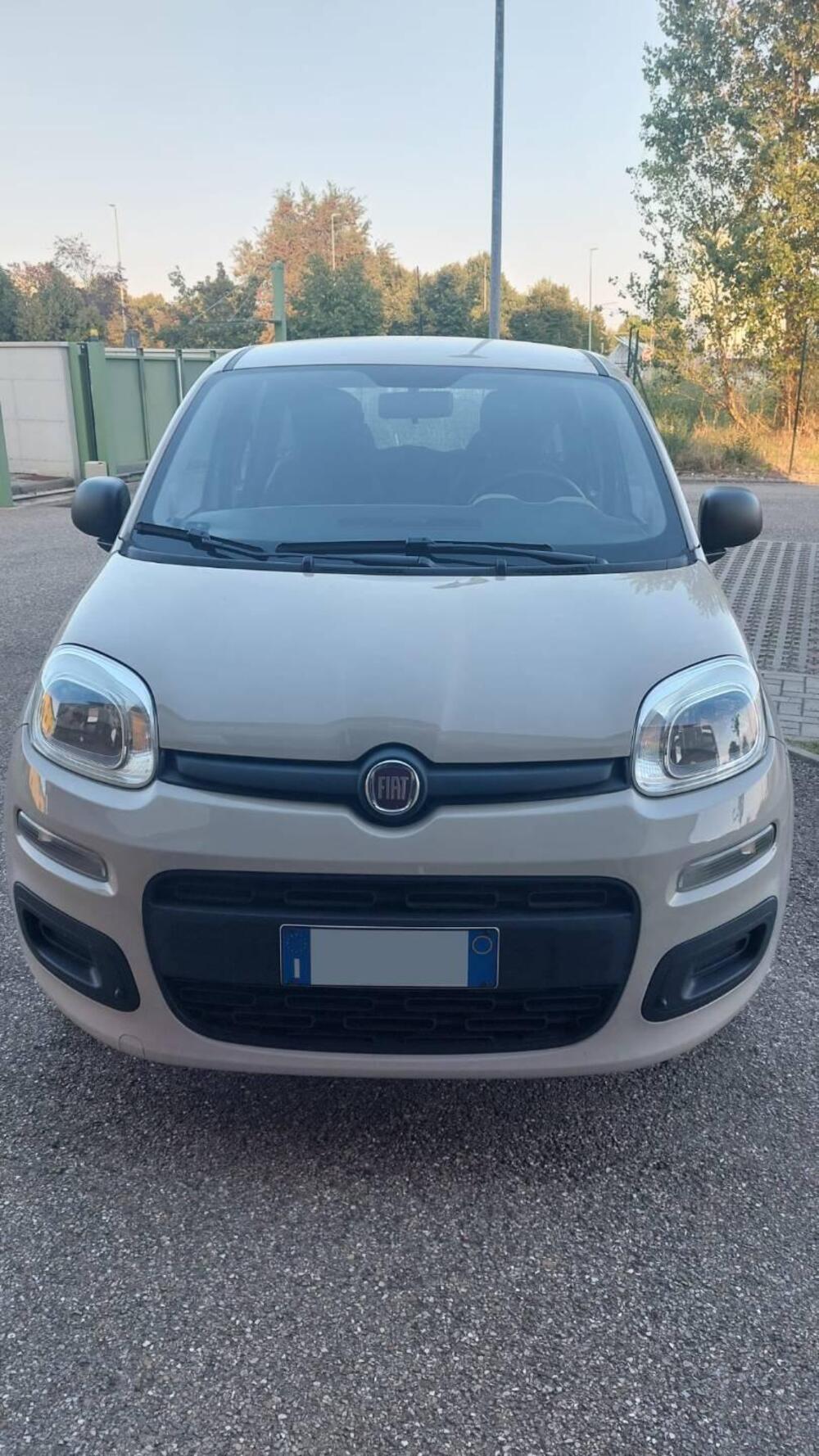 Fiat Panda usata a Modena (3)