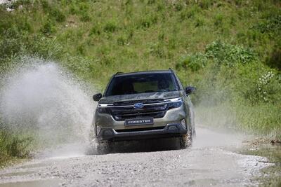 Subaru Forester: nel 2025 avr&agrave; l'ibrido Full di Toyota