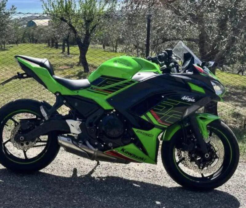 La Ninja di Gaetano Adduci