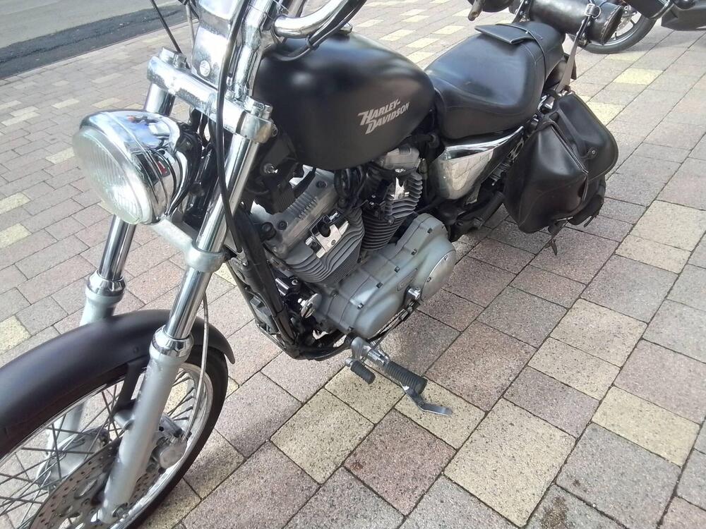 Harley-Davidson 883 Standard (2001 - 05) - XL 883 (8)