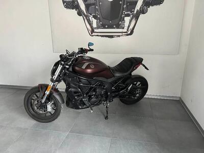 Benelli 502 C (2021 - 25) usata