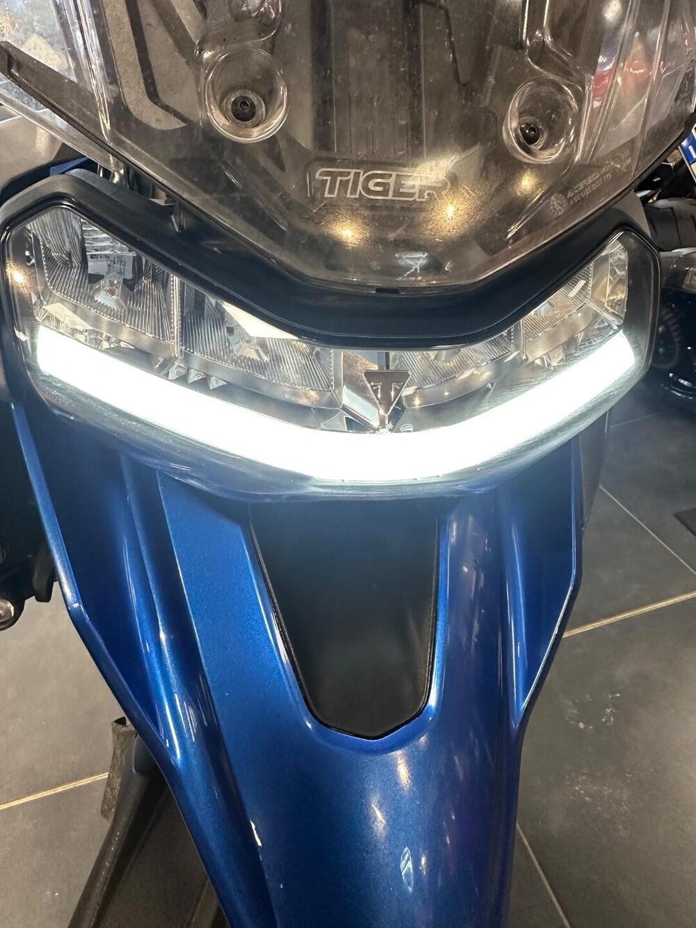 Triumph Tiger 1200 GT Pro (2022 - 23) (8)