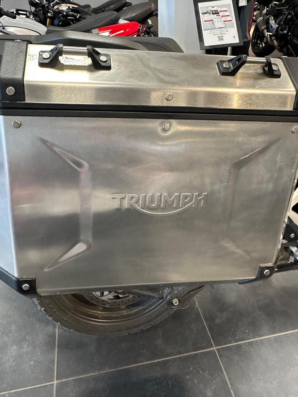 Triumph Tiger 1200 GT Pro (2022 - 23) (6)