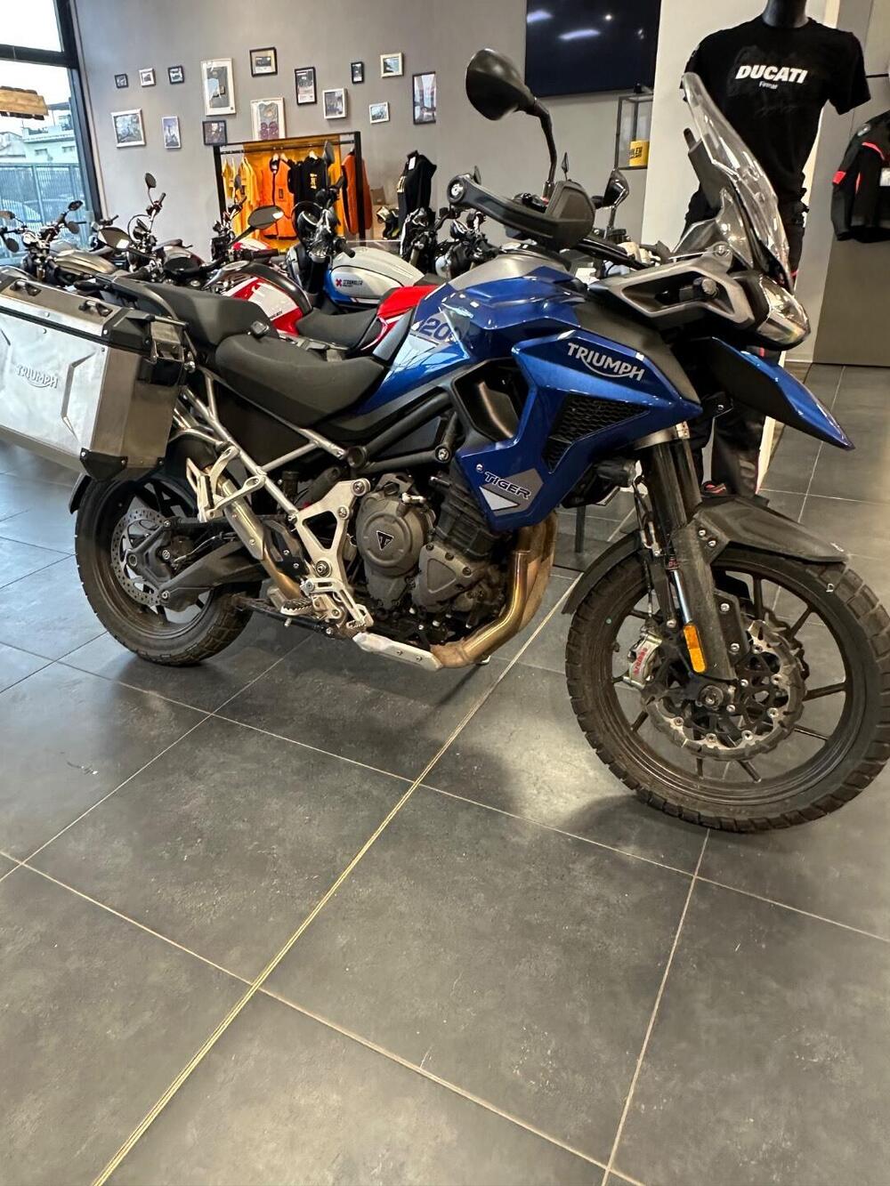 Triumph Tiger 1200 GT Pro (2022 - 23) (3)