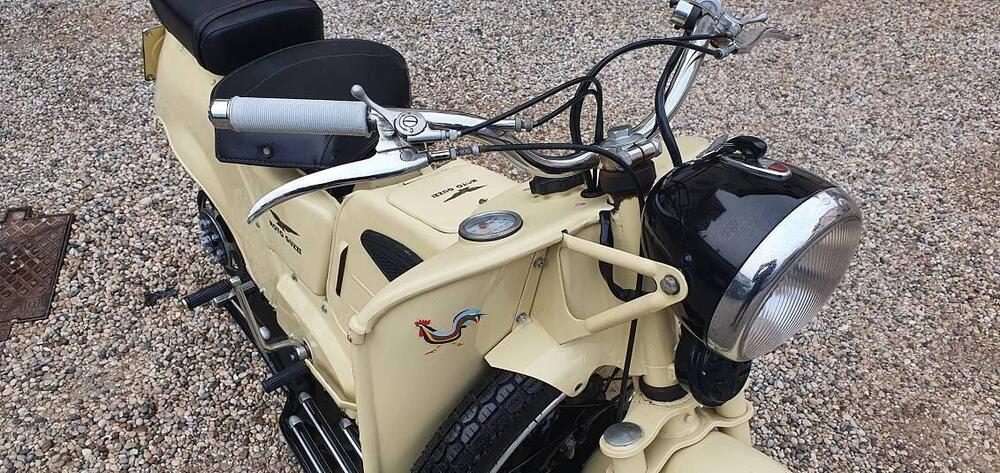 Moto Guzzi GALLETTO 192 (8)