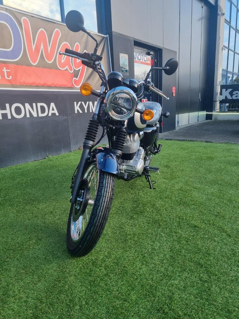 Kawasaki W 230 (2025 - 26) (2)