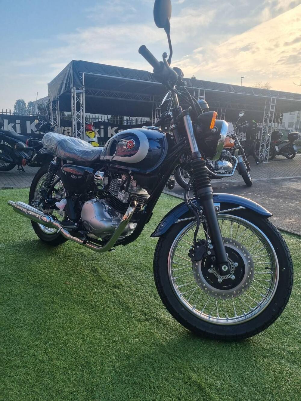 Kawasaki W 230 (2025 - 26) (3)