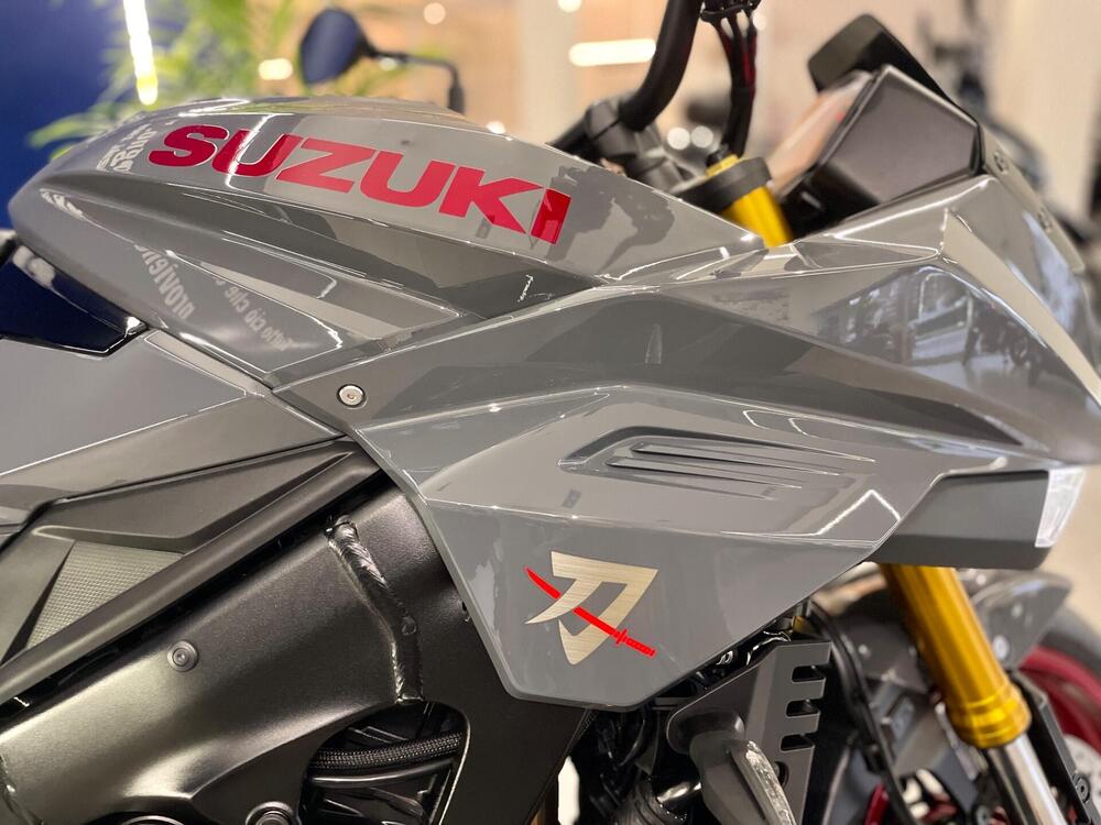 Suzuki Katana 1000 (2022 - 25) (9)