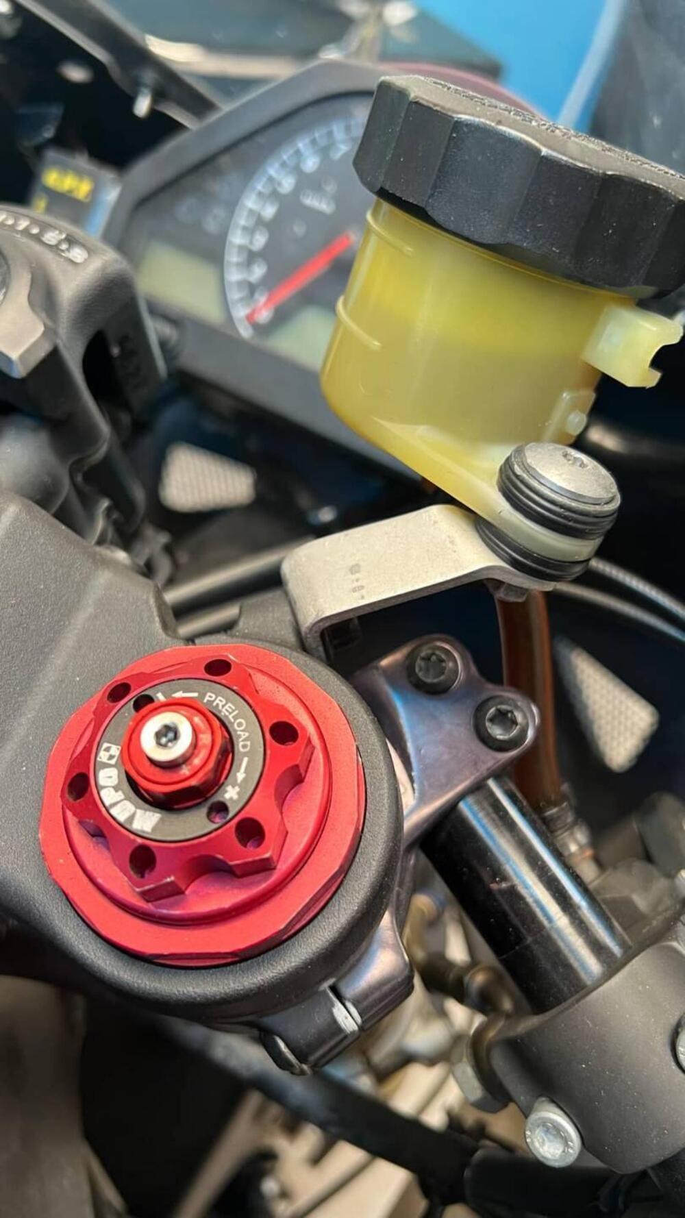 Honda CBR 1000 RR Fireblade (2004 - 05) (4)