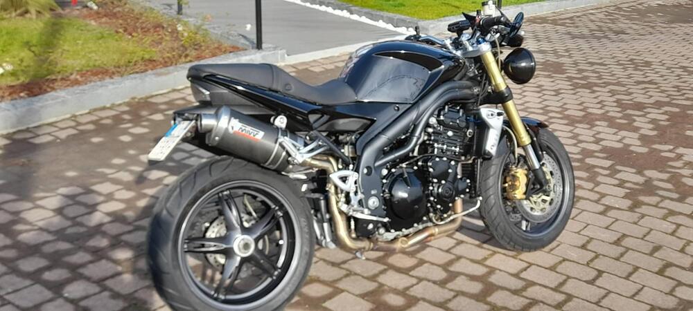 Triumph Speed Triple 1050 (2005 - 11) (3)