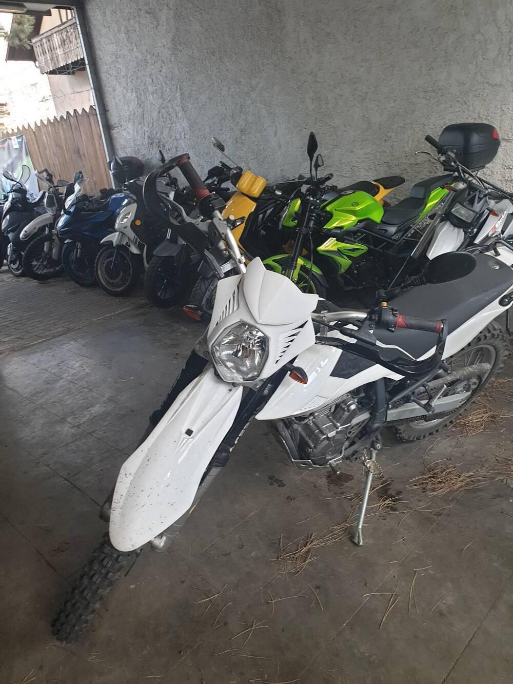 Betamotor Alp 4.0 (2008 - 17) (4)