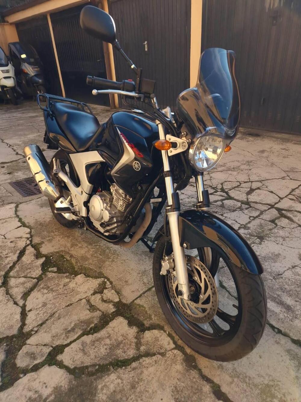 Yamaha YBR 250 (2006 - 13) (2)