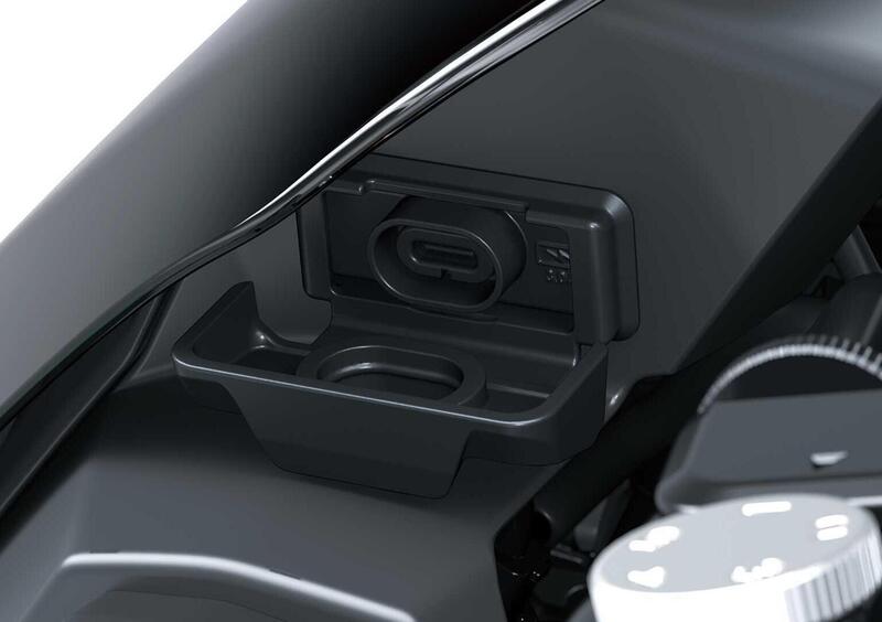 Kawasaki Z 900 Z 900 SE (2025 - 26) (8)