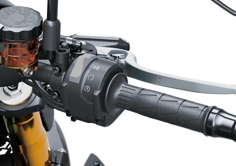 Kawasaki Z 900 Z 900 SE (2025 - 26) (7)