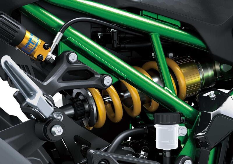 Kawasaki Z 900 Z 900 SE (2025 - 26) (6)