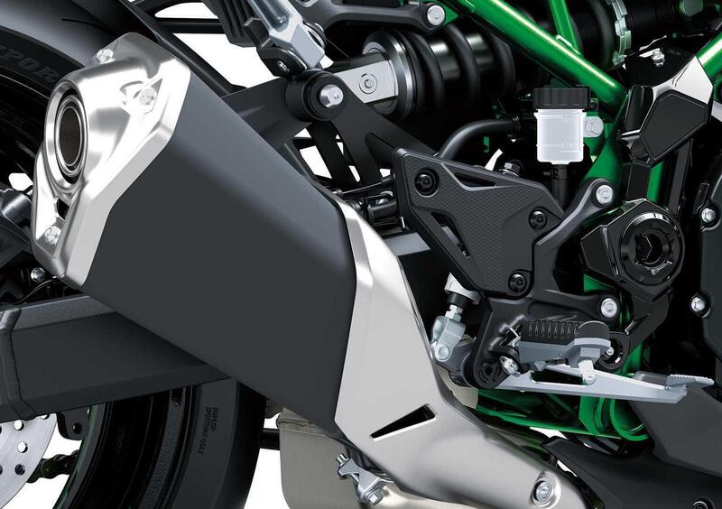 Kawasaki Z 900 Z 900 (2025 - 26) (12)