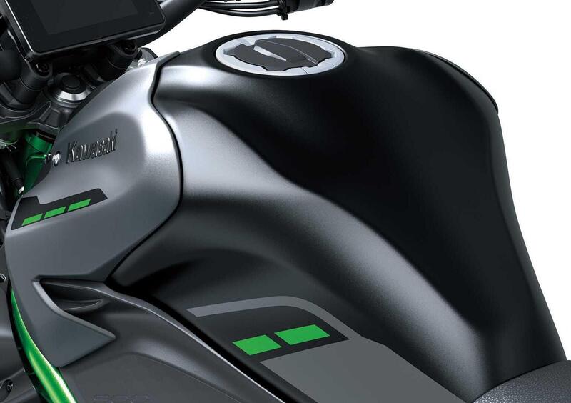 Kawasaki Z 900 Z 900 (2025 - 26) (13)