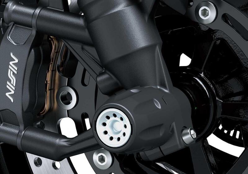 Kawasaki Z 900 Z 900 (2025 - 26) (16)