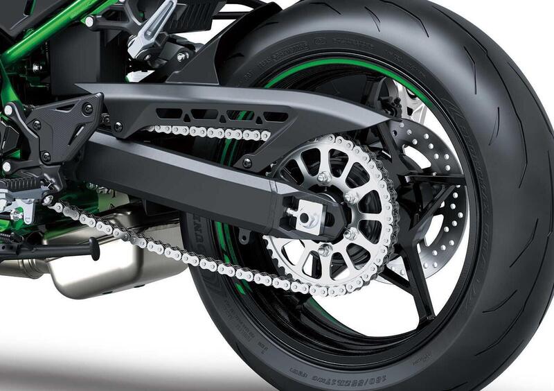 Kawasaki Z 900 Z 900 A2 (2025 - 26) (15)